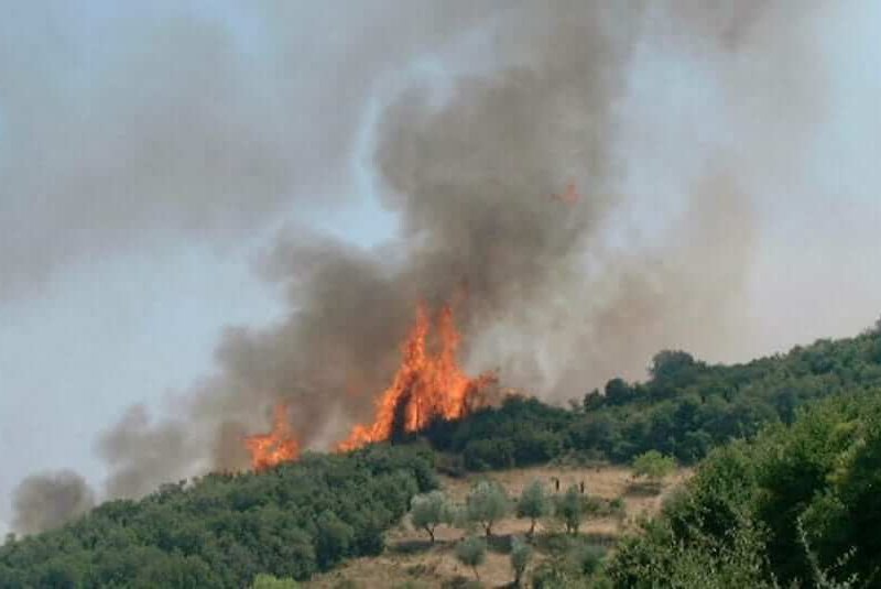 Η Λαϊκή Συσπείρωση για την πρόληψη δασικών και αγροτικών πυρκαγιών